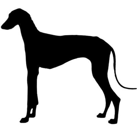 A Comparison of Chippiparai and Other Indian Sighthounds  